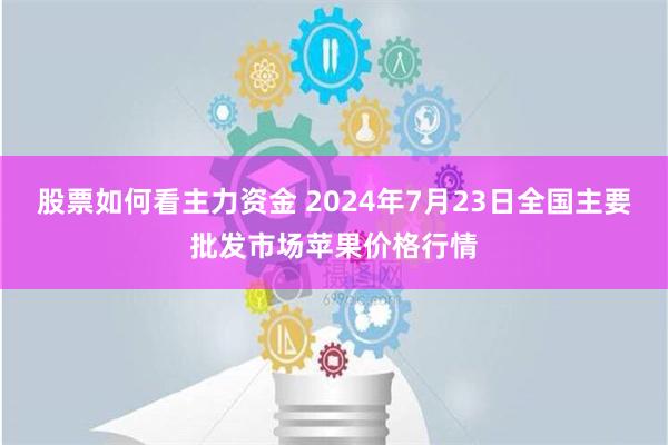 股票如何看主力资金 2024年7月23日全国主要批发市场苹果价格行情