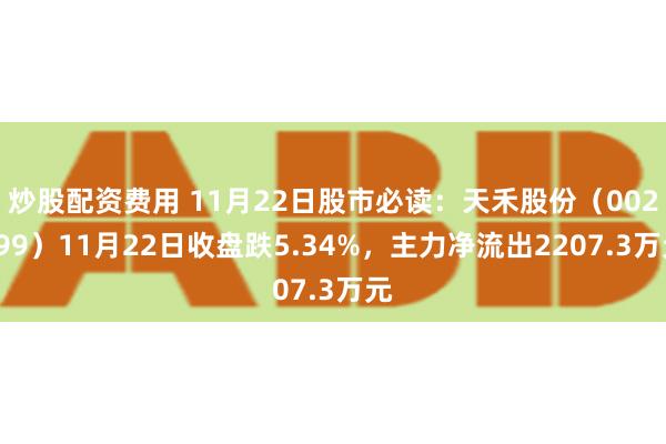 炒股配资费用 11月22日股市必读：天禾股份（002999）11月22日收盘跌5.34%，主力净流出2207.3万元